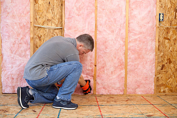 Best Insulation Removal  in Roberts, WI